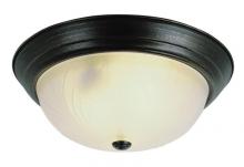 Trans Globe 58801 ROB - 2LT FLUSHMOUNT-MED-FROSTED GLA
